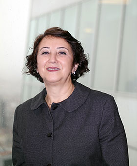 Serpil Koçak